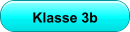 Klasse 3b